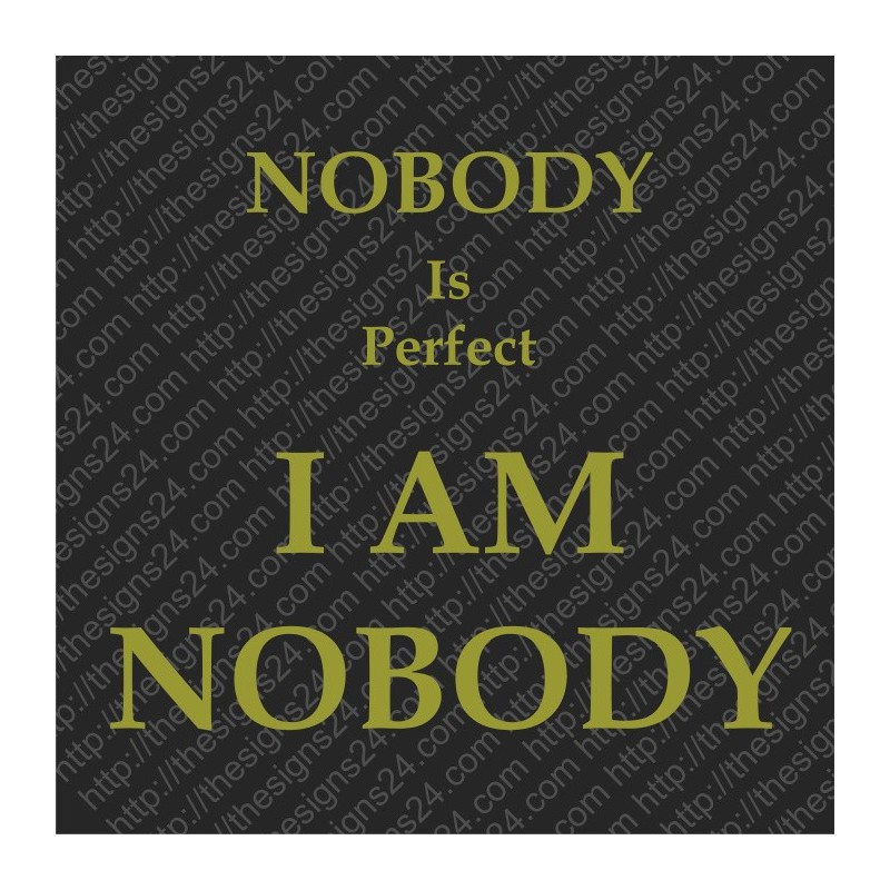 Nobody Is Perfect I Am Nobody - heat transfer picture