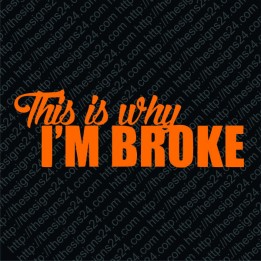 THIS IS WHY I AM BROKE -  car bumper sticker, vinyl decal