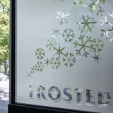 Custom Designed Dusted/Frosted Vinyl For Windows and Other Glass Substrates
